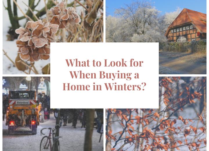 Buying a Home in Winters