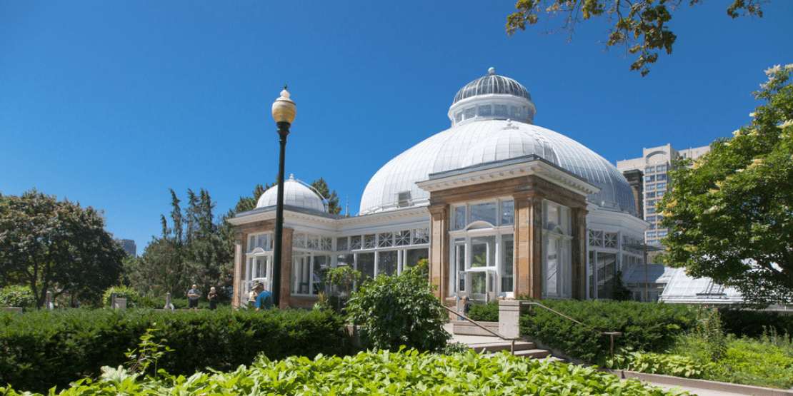 Allan Gardens Conservatory