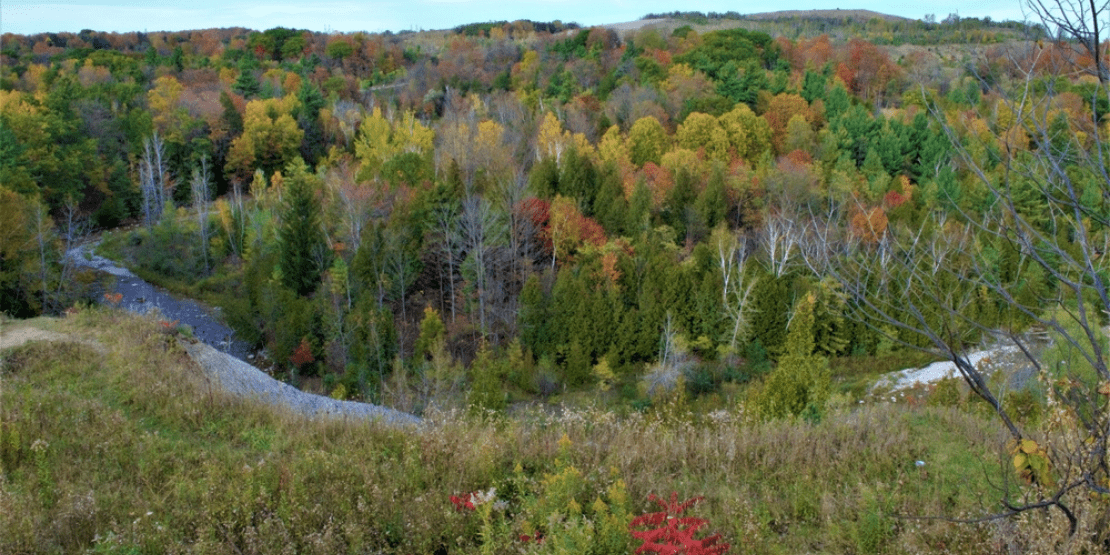 Hike in Rouge Park