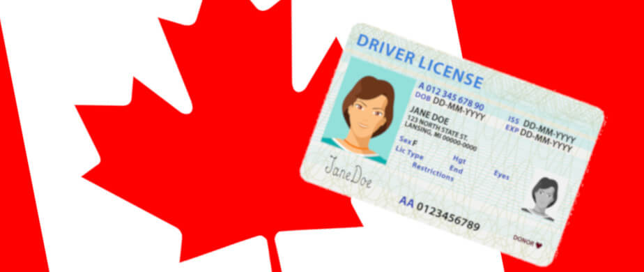 Driver’s License in Ontario