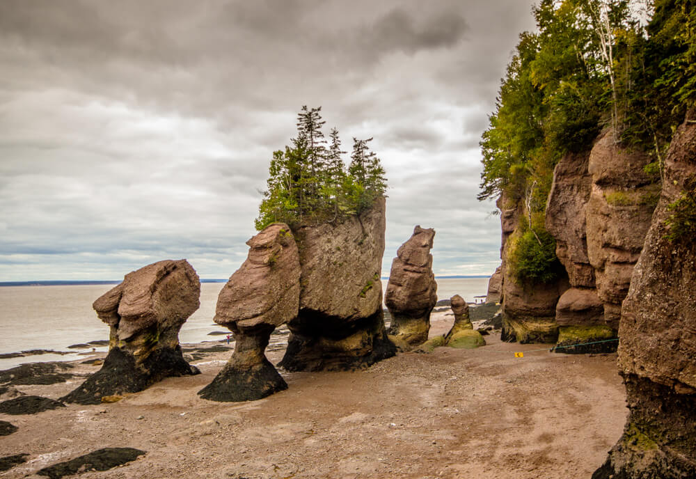 Bay of Fundy, New Brunswick places to visit in Canada
