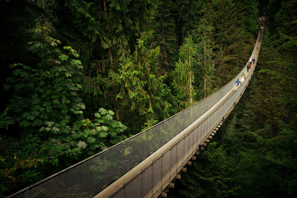  tourist places in Vancouver Capilano Suspension Bridge