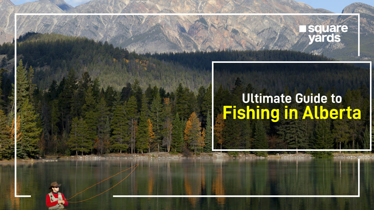All You Need To Know About Fishing in Alberta