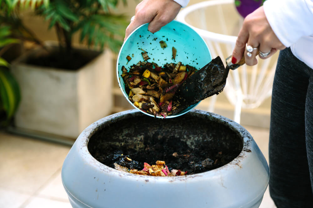 What is Composting and Why Should You do it 