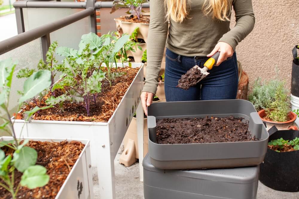 What to do with Compost