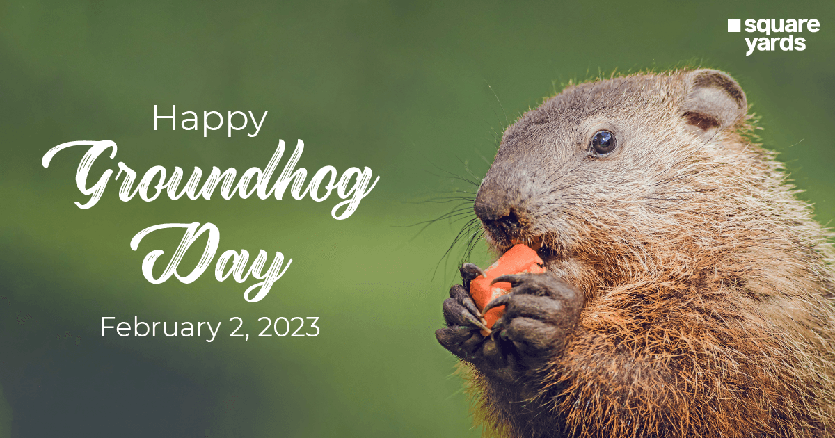 Groundhog Day Celebration in 2023