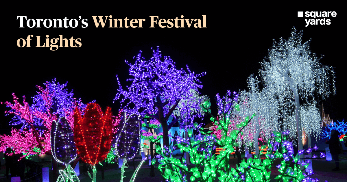 The Astounding Winter Festival of Lights in Toronto