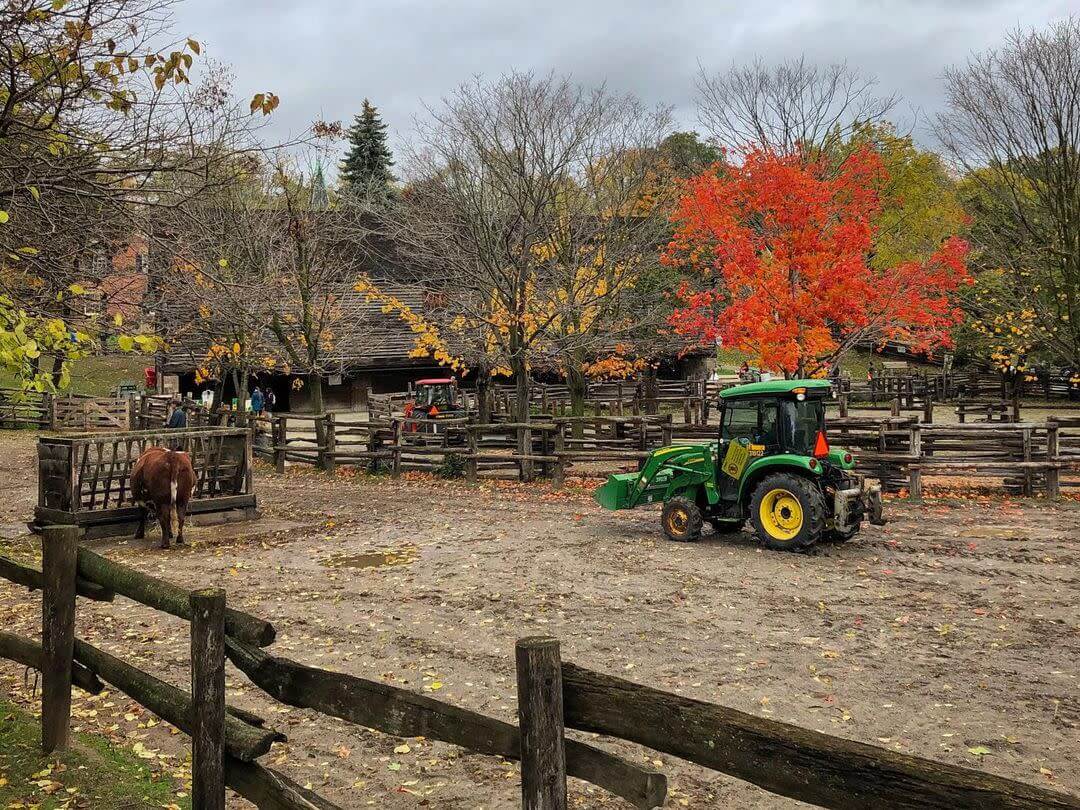 Attractions at Riverdale Farm