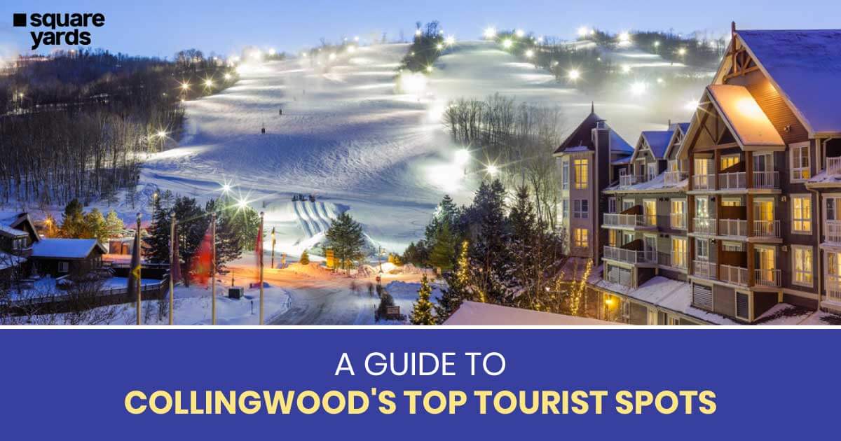 Guide to Collingwood’s 6 Best Tourist Destinations